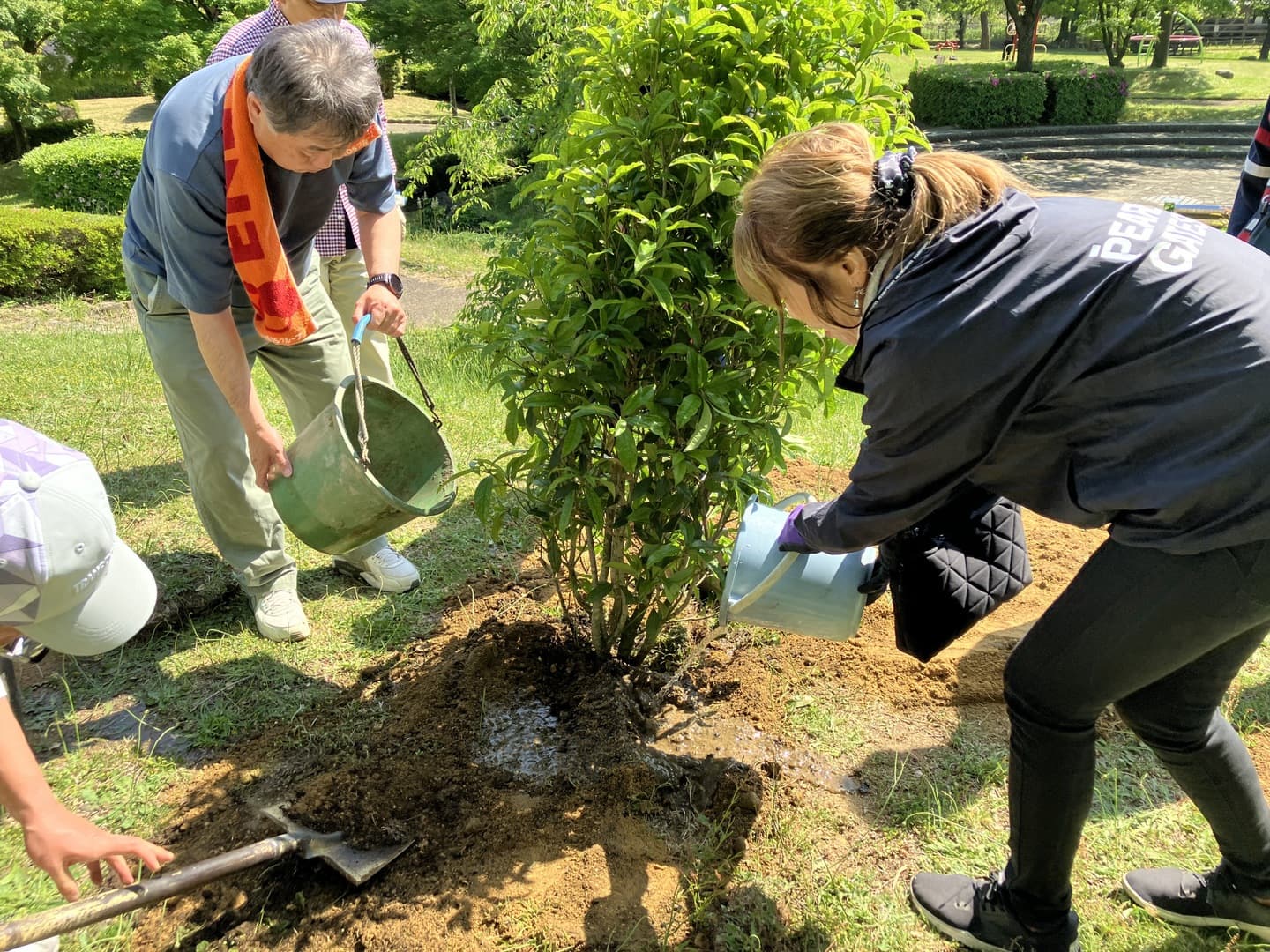 planting